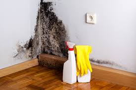 Environmental Consulting for Mold Prevention in West Lafayette, OH